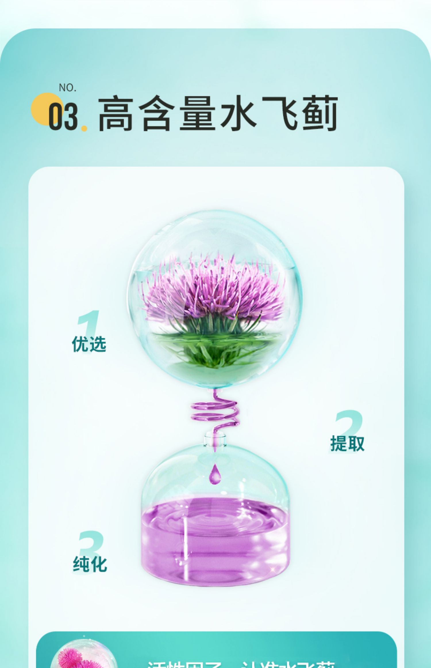 20240203114719204683.jpg 6.jpg